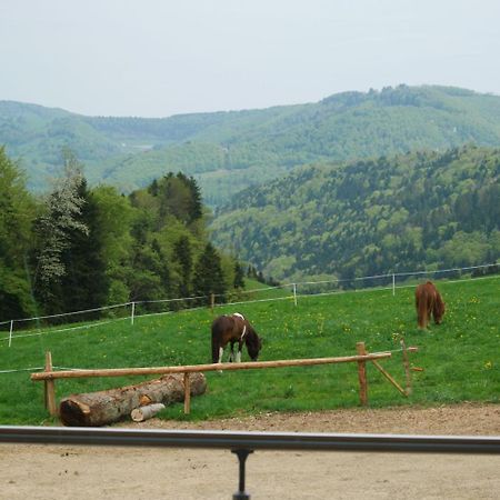 Apartmán La Joux Chaupe Saint-Ursanne Exteriér fotografie