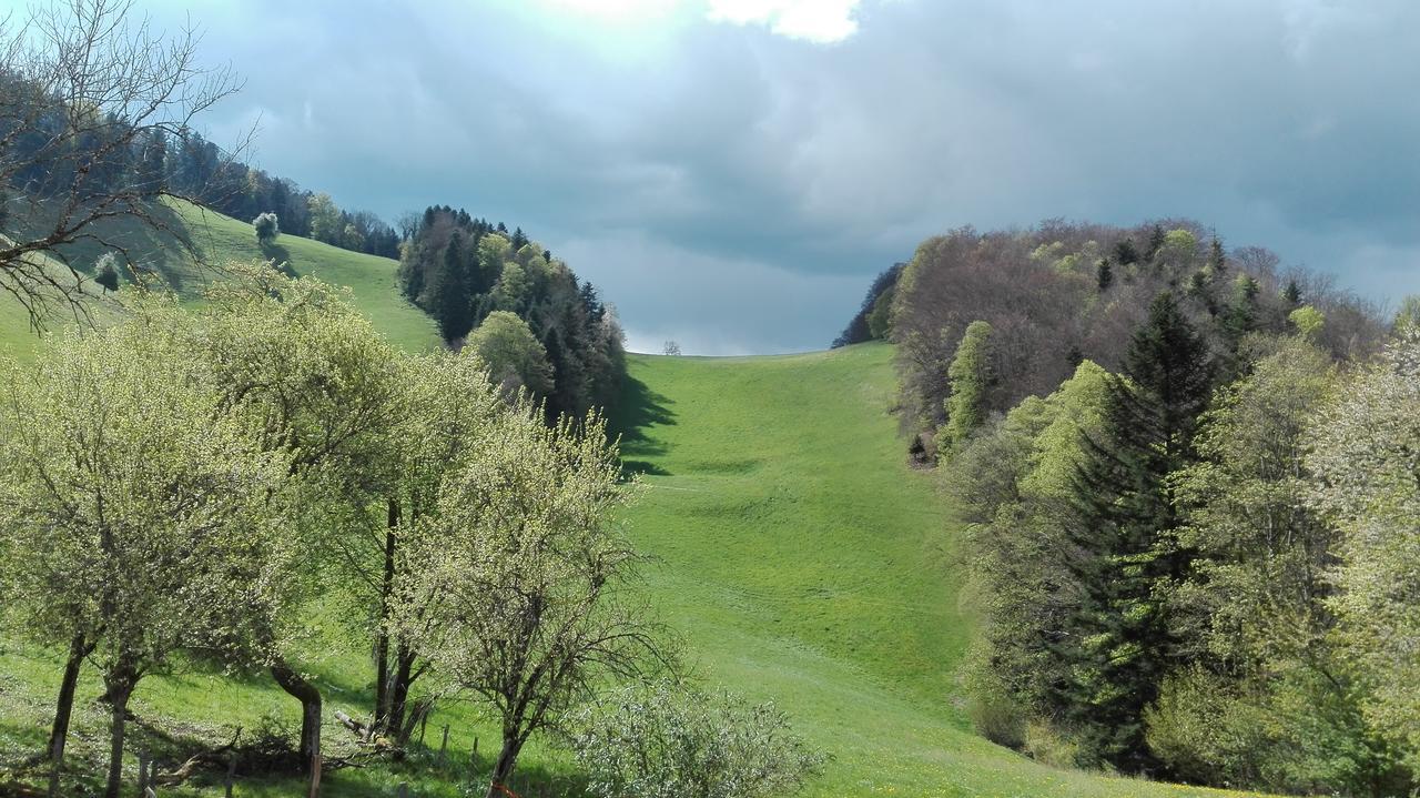 Apartmán La Joux Chaupe Saint-Ursanne Exteriér fotografie