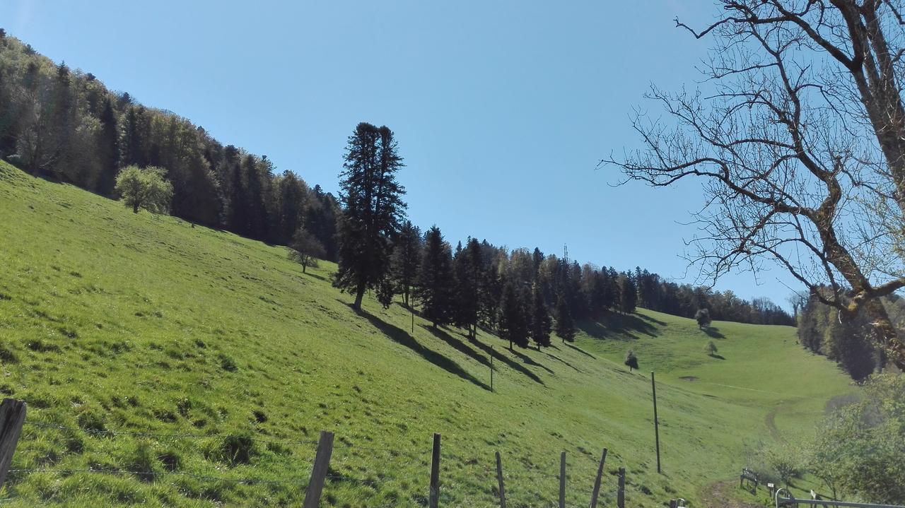 Apartmán La Joux Chaupe Saint-Ursanne Exteriér fotografie