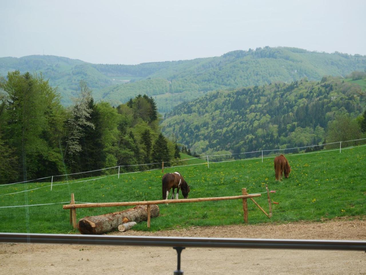 Apartmán La Joux Chaupe Saint-Ursanne Exteriér fotografie